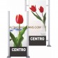 Centro Stand Düz 1 Panel